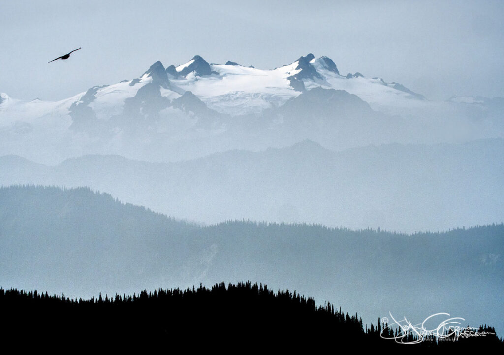 The Olympic Mountains