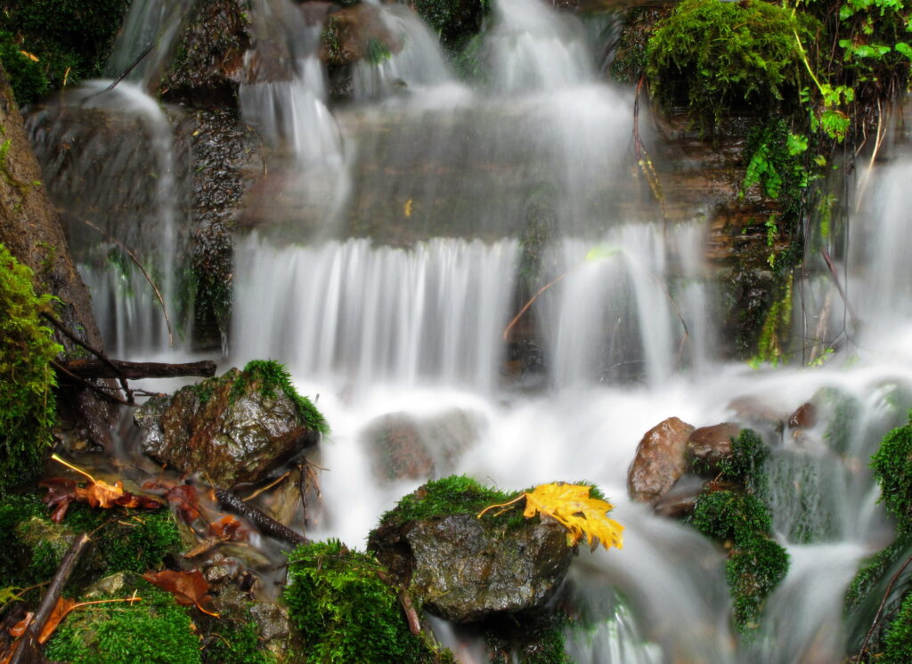 Abundant Waterfalls